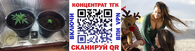 купить закладку  Сегежа  Дистиллят ТГК THC oil 