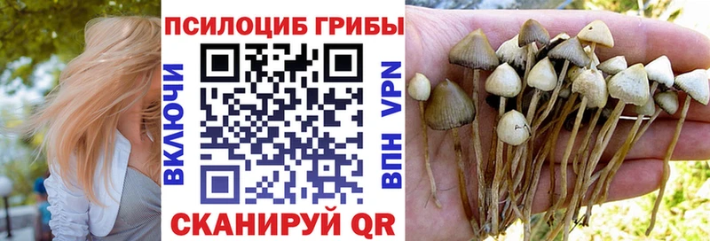 где продают наркотики  Сегежа  Псилоцибиновые грибы Magic Shrooms 
