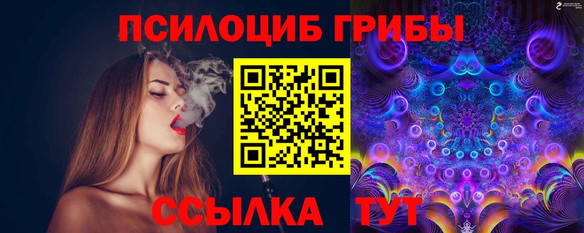 Псилоцибиновые грибы мухоморы  Галлюциногенные грибы прущие грибы  Сегежа  Вход с VPN 