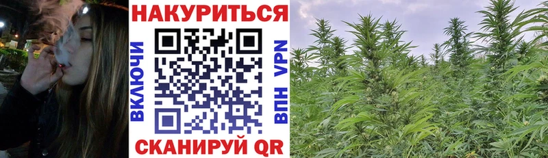 мориарти как зайти  как найти наркотики  Сегежа  Марихуана LSD WEED 